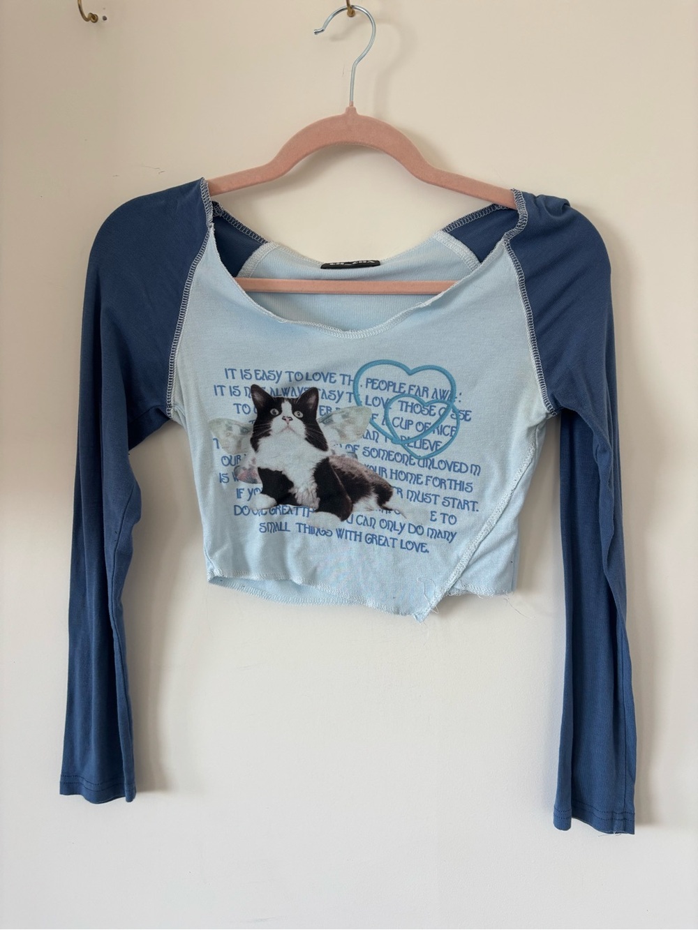 Blue Long-Sleeve Crop Top with Cat Graphic
